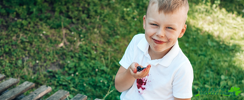  How To Remove Berry Stains From Clothes And Fabrics KDC