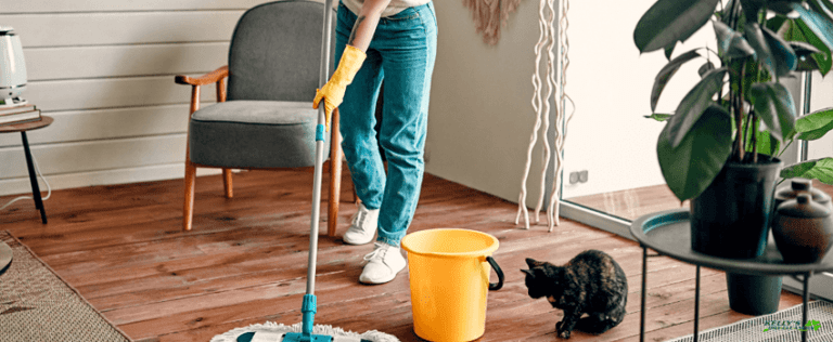 KDC-woman cleaning with her pet