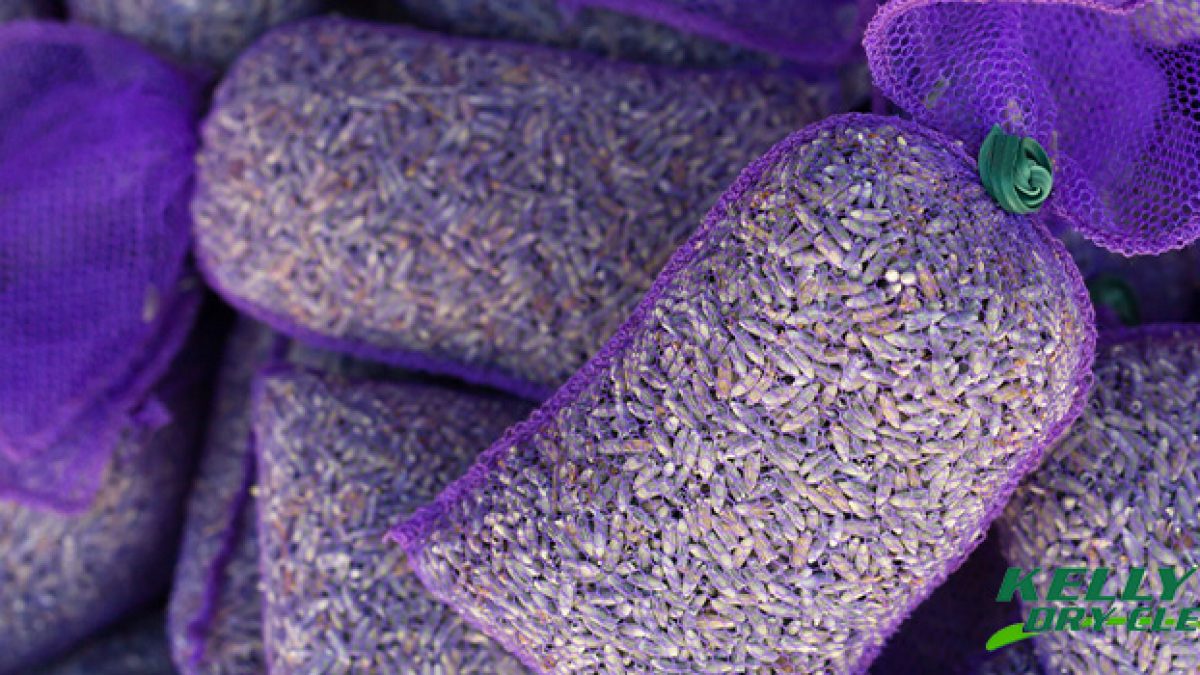 Lavender or Mothballs: Which Is Better? - Kelly's Dry Cleaners