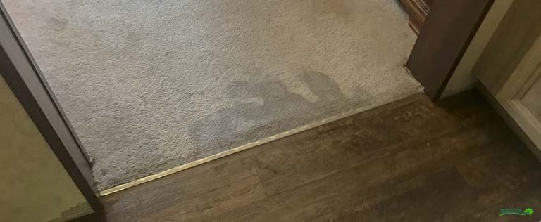 Water soaked carpet after leak